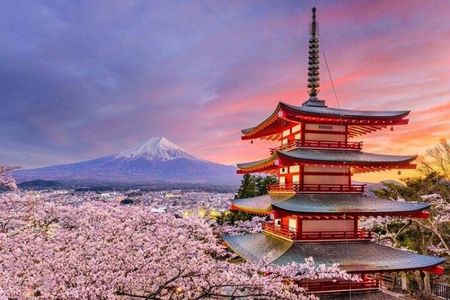 Mount Fuji and Hakone Private Tour with Pickup from Tokyo