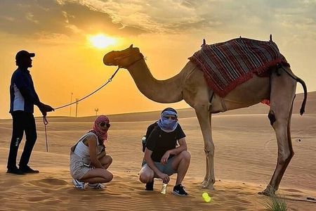 Camel Safari in Desert with Pickup and Drop off in Doha