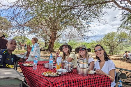 4-Day Safari Tarangire Serengeti and Ngorongoro