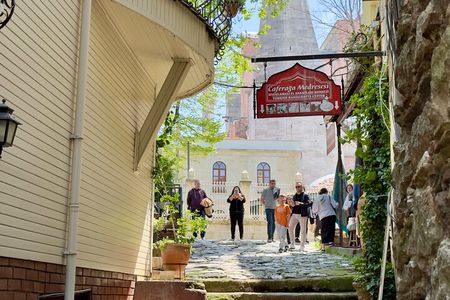 Istanbul Small-Group City and Secret Streets Tour with Guide