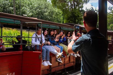 Puffing Billy Tour and Penguin Parade from Melbourne 