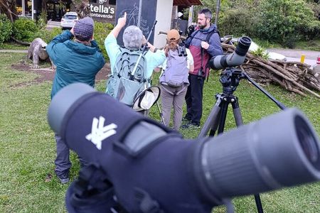 Monteverde Guided Eco Walk – Cloudforest Plants, Birds & Nature 