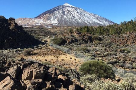 TEIDE: VIP tour
