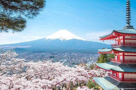 Mount Fuji Private Full Day Tour With Local Guide