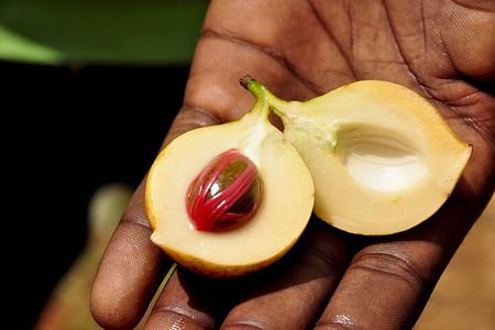 Private Zanzibar Spice Farm Tour: Best Experience Awaits