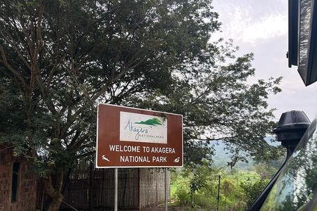 Full Day safari of discovery in Akagera National Park's wildlife