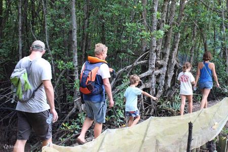 Monkey Island and Mangrove Forest Eco Tour from Ho Chi Minh