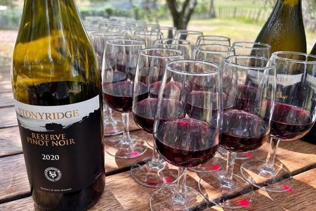 Waiheke Island: Afternoon Wine Affair with Ocean Front Lunch