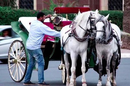 Marrakech 1 hour Horse Carriage Rides