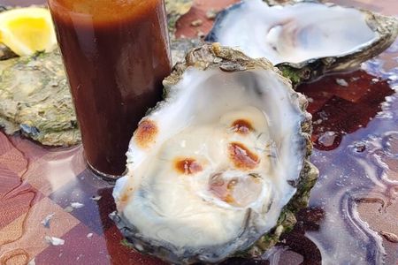 Oyster Adventure in Coffin Bay (Coffin Bay Pick Up)