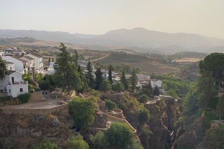 Ronda Day Tour and Winery Visits from Marbella