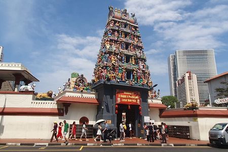 Singapore City Guided Group Tour By Car and Walk