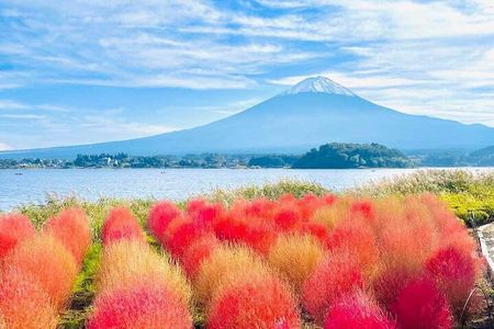 From Tokyo Mt. Fuji Customizable Day Tour With Luxury vehicle 