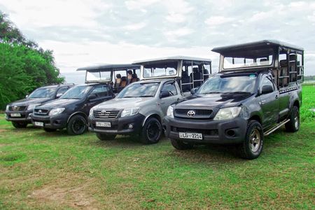 Yala National Park Tour from Hambantota Port Janaka Safari