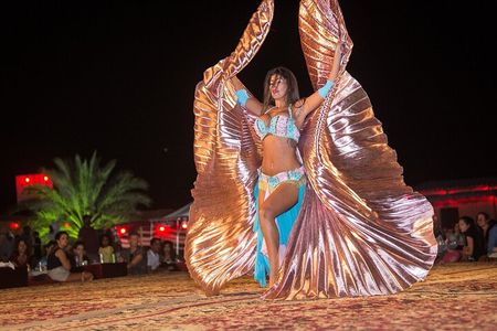 Evening Desert Safari Tour With Dinner & Entertainment