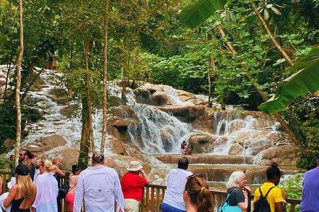 Combo Tour Dunn's River Falls and BlueTour from falmouth