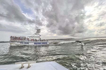 Dolphin Watching aboard the Cold Mil Fleet 