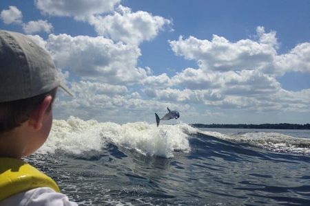 Dolphin Watching aboard the Cold Mil Fleet 