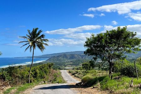 Barbados Paradise Tour with Hotel Transfers