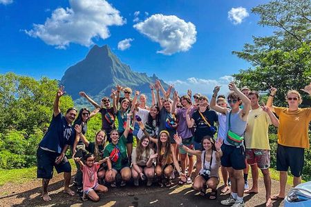 2-HOUR Safari Tour Special Cruise SHIP - AFTERNOON