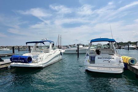 Private Chicago Boat Tour with Captain