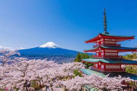 Tokyo: Mt.Fuji & Lake Kawaguchiko 1-Day Bus Tour w/Optional Lunch