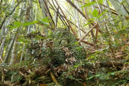 Discover 270 Buddha Statues on a 1,280-year-old Pilgrimage Route
