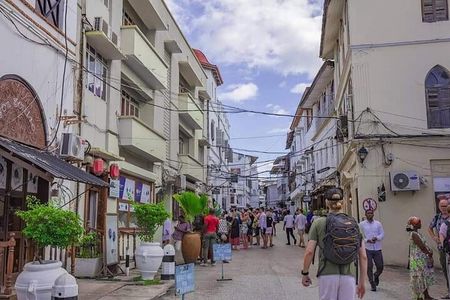 Zanzibar Stone Town, Prison Island and Spice Farm Private Tour.