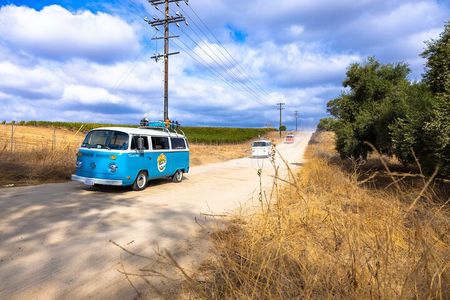Private VW Bus Wine Tour Temecula - Retro Cali Vibes