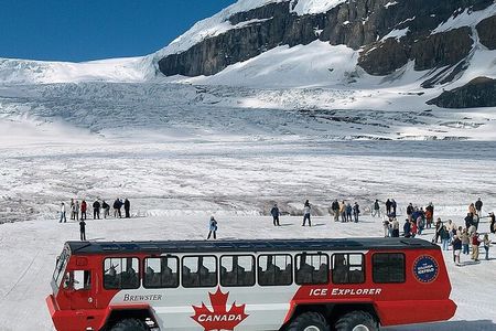 Columbia Icefield,Peyto Lake,Bow Lake Day Trip from Banff/Calgary