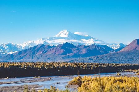 Denali-In-A-Day Sightseeing Tour