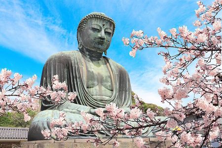 Kamakura Cherry Blossom Full Day Walking Tour with a Local Guide