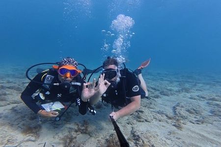 Discover Scuba Diving Experience