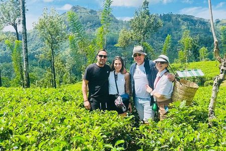 Nuwara eliya day tour from Kandy 