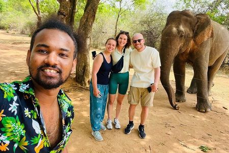 Discover the Wild Magic of Udawalawe National Park