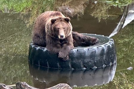 Sitka Scenic Private Tour