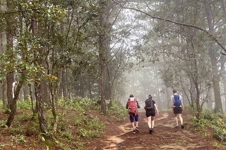 Dalat Pinhatt Peak Jungle Trek and Tuyen Lam Lake