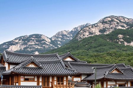 Seoul Cherry Blossom and Hanok Experience Private Car Tour 