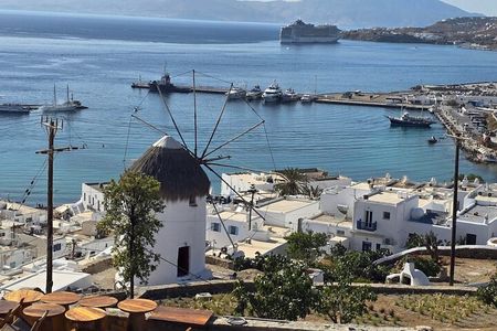 Discover Mykonos Island In Half Day Private Tour