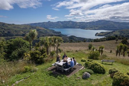 Akaroa Nature and History Tour - The 7th Generation