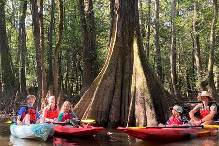 Guided Congaree National Park Kayak Tour