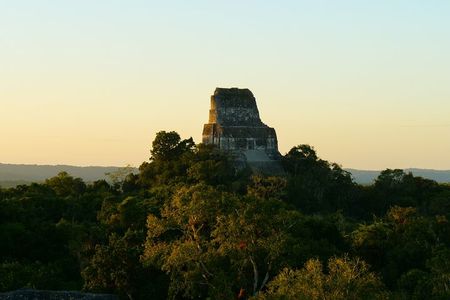 Tikal Day Group Tour