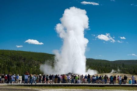 From Bozeman Express Yellowstone Full Day Tour