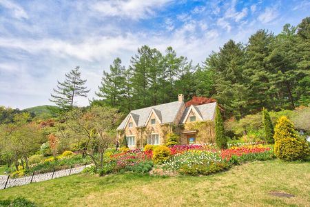 Day Trip to Nami Island with The Garden of Morning Calm