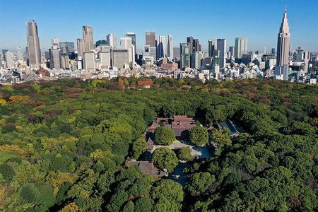 Tokyo: Meiji Shrine Historical Tour with Local Guide