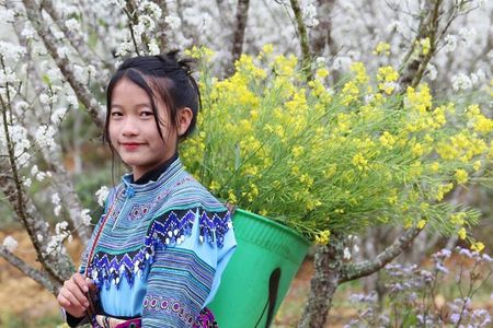 Mai Chau and Moc Chau 2 day trip
