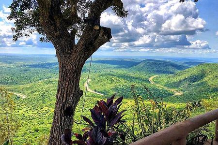 Shimba Hills National Reserve Day Tour with Sheldrick Falls