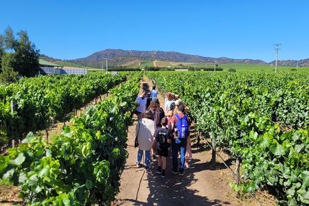 Valparaiso Wine Tour to Casablanca