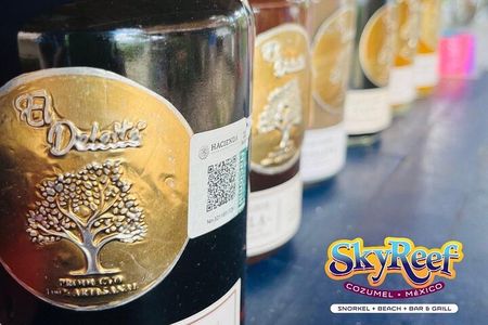 SkyReef Cozumel Snorkel & Tequila Tasting