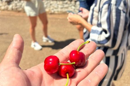 E-Bike, Focaccia and Wine